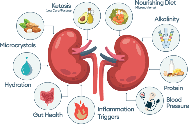 Kidney Nutrition Options Chart