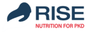 Rise Logo E1725372004813 300x116 2