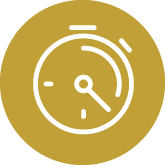 Rise Cronometer Gold Access Icon