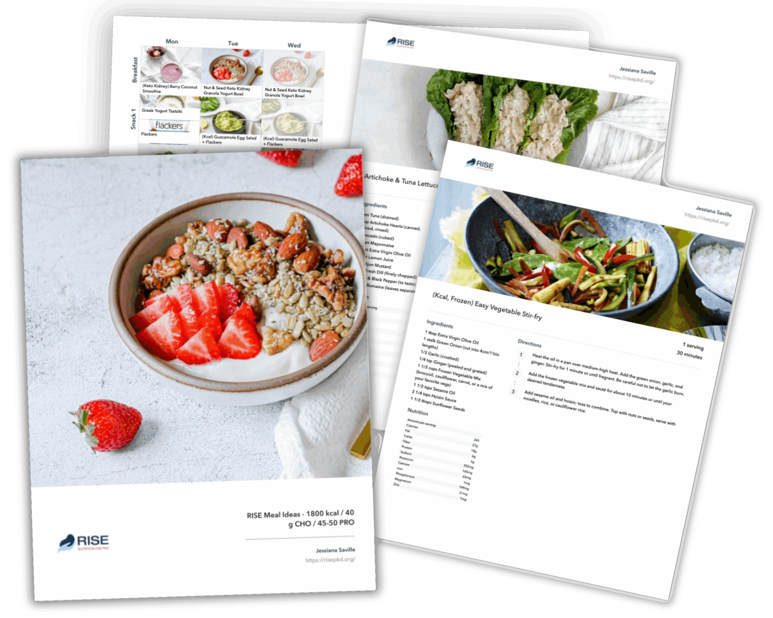 Rise Meal Ideas Lead Magnet